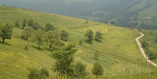 ORDU'DA YAZDAN KALANLAR 