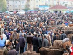 Türkiyenin en büyük canlı hayvan pazarında hareketlilik