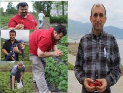 Kendi çileğini kendin topla