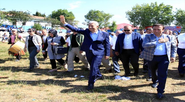 Sakarya'da patileri kesilen yavru köpeğin ölümü