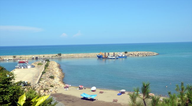 Alaplı balıkçı barınağında tarama çalışması