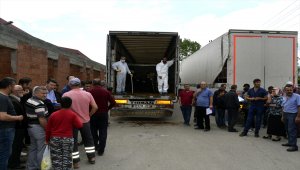 Alaplı'da Genç Çiftçi Projesi