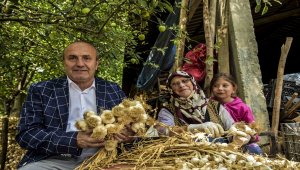 Başkan Arslan'dan çiftçilere ziyaret