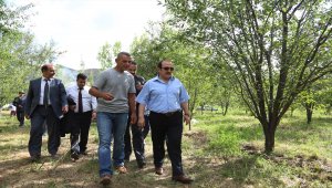 Bayburt Valisi Pehlivan'dan meyve üreticisine ziyaret