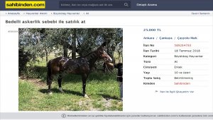 Bedelli askerlik tasarısı, at sattırıyor