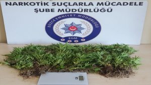Düzce'de uyuşturucu operasyonu