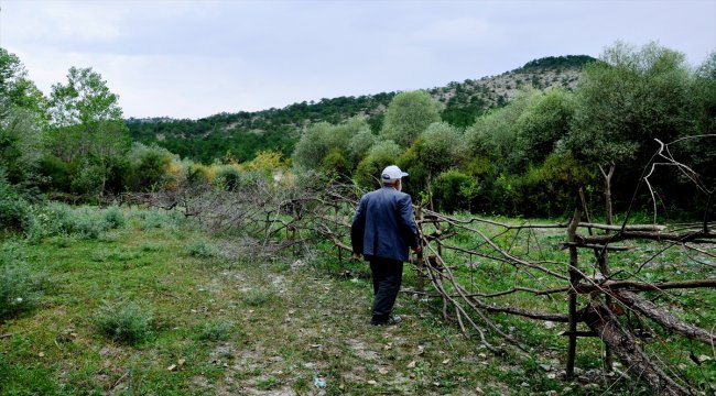 Emekli polisten 15 Temmuz şehitleri anısına fidanlık