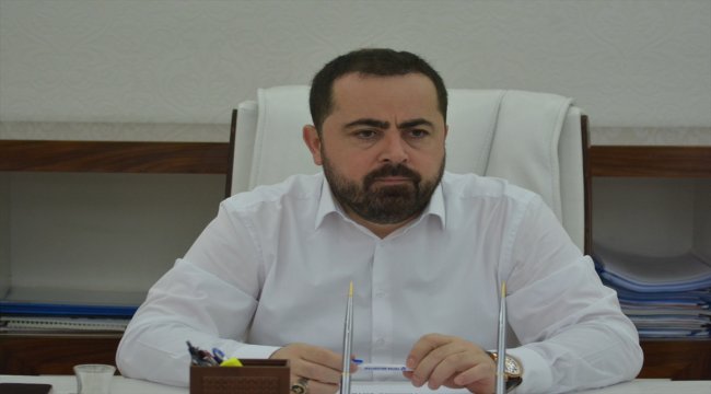 Fatsa'da Çınar Festivali düzenlenecek