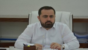 Fatsa'da Çınar Festivali düzenlenecek