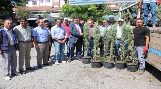 Havza Belediyesi vatandaşlara ücretsiz fidan dağıttı