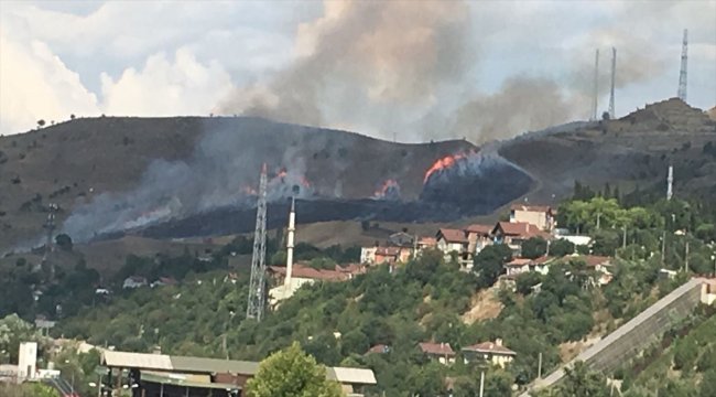 Karabük'te anız yangını