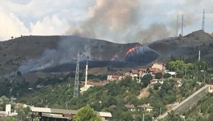 Karabük'te anız yangını
