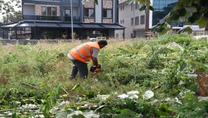 Kültür Mahalesi'nde park temizliği çalışması