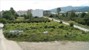 Ordu'da Selçuklu mimarisinde cami yapılacak