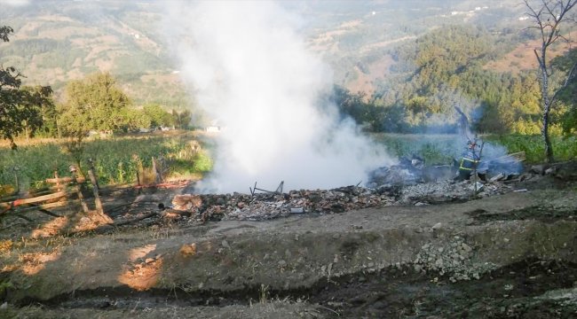 Ordu'da yangın: 3 ölü