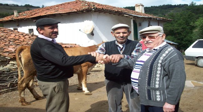 Samsun'da kurbanlık fiyatları arttı