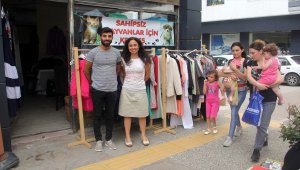 Sinop'ta sokak hayvanları yararına kermes