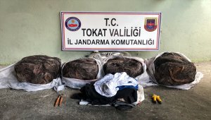 Tokat'ta bakır kablo hırsızlığı iddiası