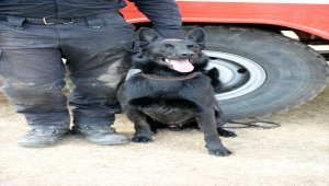 Tokat'ta kaybolan 3 yaşındaki Evrim'in amcası serbest bırakıldı
