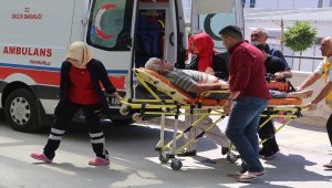 "Acemi kasaplar" hastanelik oldu