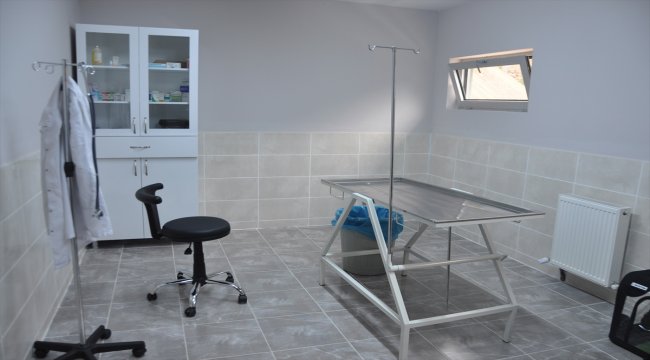 Artvin'e 2,5 milyon liralık hayvan bakımevi