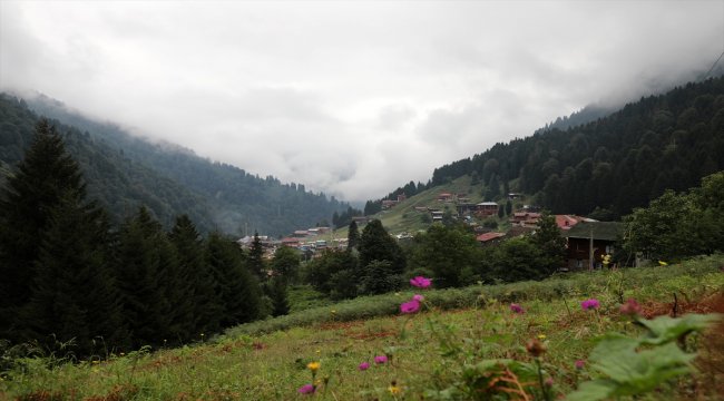 Ayder'e tatilcilerden büyük ilgi