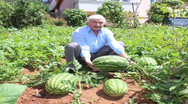 Bahçesinde denemek için başladı 1 ton karpuz üretti