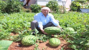 Bahçesinde denemek için başladı 1 ton karpuz üretti
