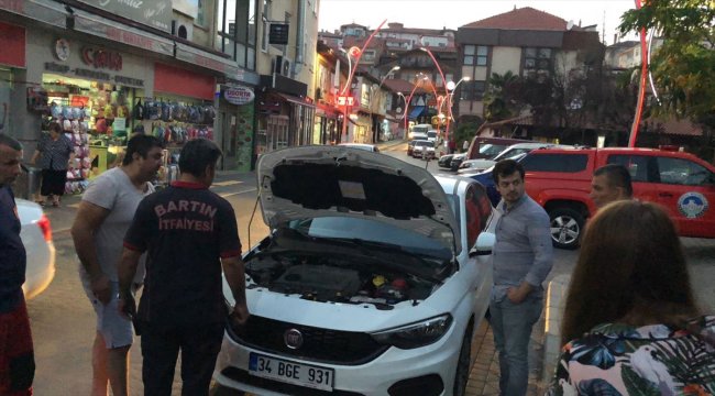 Bartın'da kedi kurtarma operasyonu