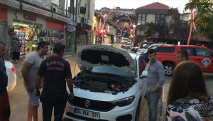 Bartın'da kedi kurtarma operasyonu