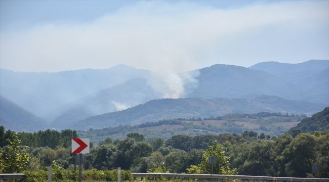 Bartın'da orman yangını