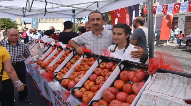 Boyabat'ta 2. Domates Festivali