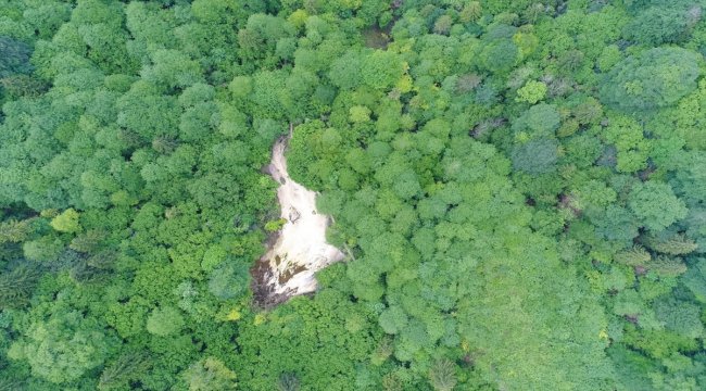 Doğaseverlerin uğrak noktası: Kuzalan Tabiat Parkı