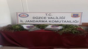 Düzce'de uyuşturucu operasyonu