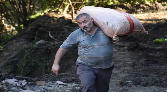 "Fındıkta hasar tespit çalışmaları 10 gün içinde tamamlanacak"