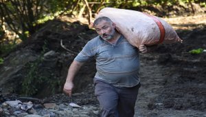 "Fındıkta hasar tespit çalışmaları 10 gün içinde tamamlanacak"