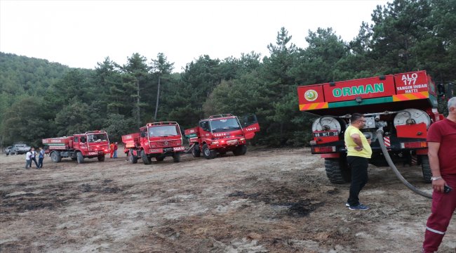 GÜNCELLEME - Bolu'da orman yangını