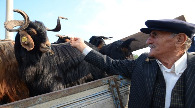 Hanönü'nde kapalı olan hayvan pazarı açıldı