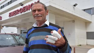 Karadeniz'de "acemi kasap"lar hastanelik oldu