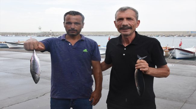 Karadenizli balıkçılar yeni sezondan umutlu