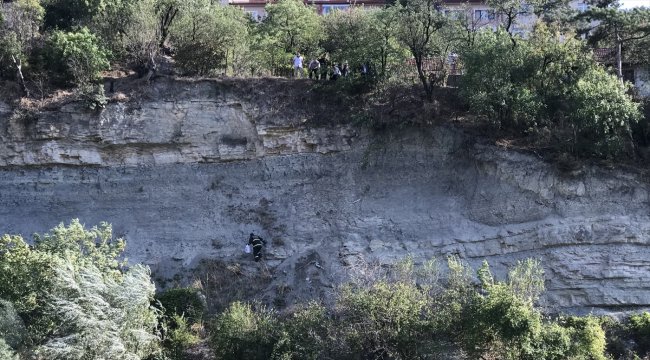 Kedisi için canından oluyordu