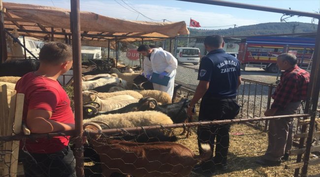 Kurban Bayramı'na doğru