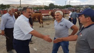 Ladik'ten kısa kısa