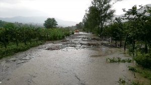 Ordu'da şiddetli yağış