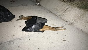 Bolu'da zincirleme trafik kazası: 5 yaralı