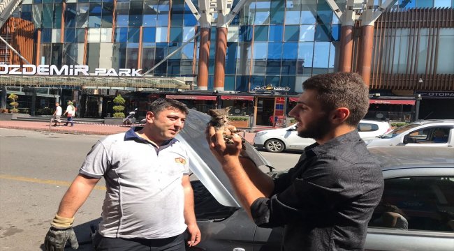 Otomobilin motor kısmına giren yavru kedi kurtarıldı