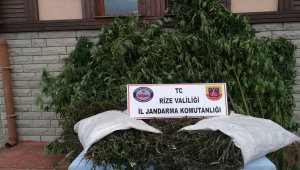 Rize'de uyuşturucu operasyonu