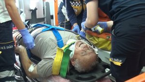 Samsun'da otomobil ağaca çarptı: 1 yaralı