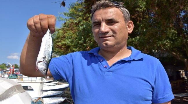 Sezonun ilk palamutları ağlara takılmaya başladı