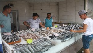 Sezonun yaklaşması balık fiyatlarını düşürdü